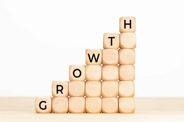 SASU : quelles stratégies de croissance sont les plus efficaces ?